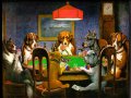 c_1239978440639_dogpoker1024.jpg